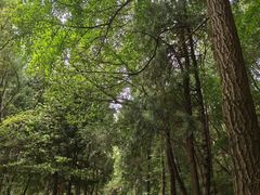 -金堂县云顶石城风景区