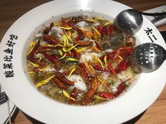 -太二酸菜鱼(石家庄万象城店)