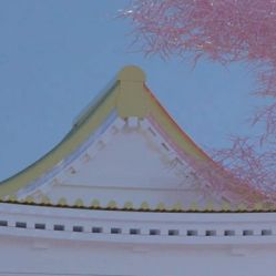 -凡碧诗毛孔收细