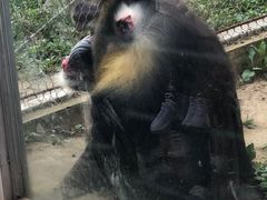 -哈尔滨北方森林动物园