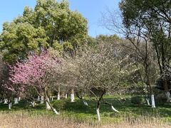 -汤山公园