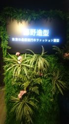 点击看大图 -藤野造型