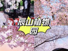 -上海静安大悦城