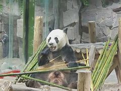 -栾川竹海野生动物园