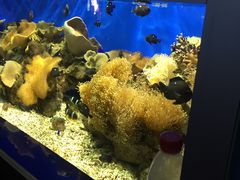 -洛阳龙门海洋馆