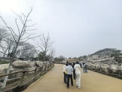 -武汉动物园