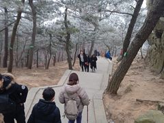 -沂蒙山旅游区龟蒙景区