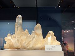 -贵州省地质博物馆