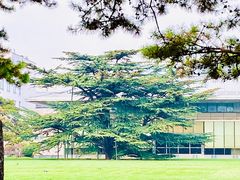 -钓鱼台国宾馆