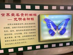 -上海昆虫博物馆