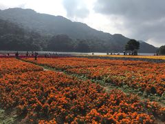 -广州市石门国家森林公园