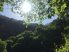 -红崖峡谷景区