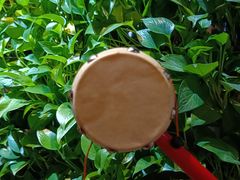 -雀舞云南菜(天津天河城购物中心店)