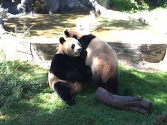 -昆明动物园