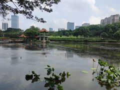 -深圳龙潭公园