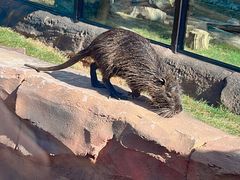 -大连森林动物园