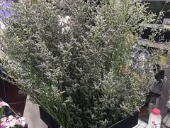 -怡花宜木鲜花店(朝阳路店)
