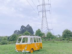 -紫颐香薰山谷景区