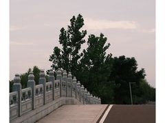-南湖国家城市湿地公园