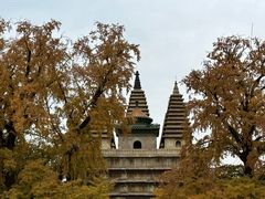 -北京石刻艺术博物馆(五塔寺)