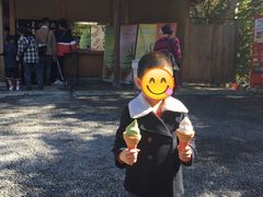 -豆政(金閣寺境内売店)