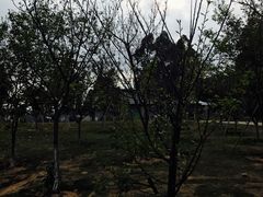 -火炉山森林公园