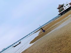 -集美鳌园景区