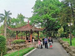 -晓港公园