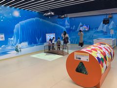 -苏州青少年科技馆