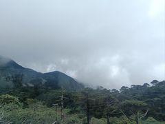 -苍山感通索道