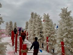 -盈香心动乐园
