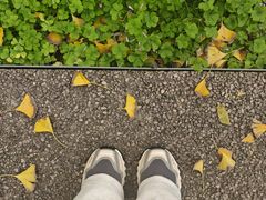 -汉长安城未央宫国家考古遗址公园