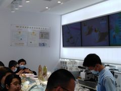 -好利来.生日蛋糕(杨家坪店)