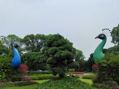 -东南花都花博园