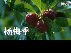 -鲜芋仙(群光广场店)