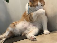 -小时光咖啡馆(北锣鼓巷店)
