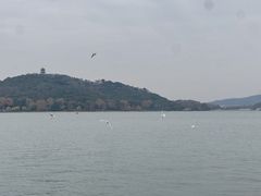 -水上明月·湖景餐厅