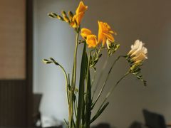 -菩提素素食餐厅(晶郦馆店)