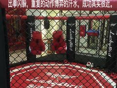 -金吉鸟健身游泳