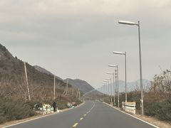 -北京中信金陵酒店