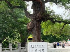 -北陵公园