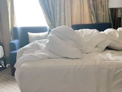 -苏州金鸡湖大酒店