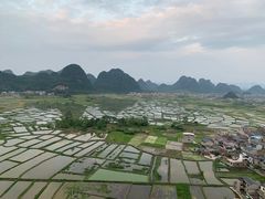 -会仙湿地