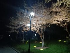 -堤角公园