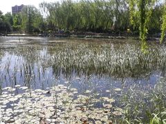 -东升八家郊野公园