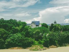 -广东惠东海龟国家级自然保护区