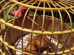 -胡桃里乐队酒馆(鎏嘉码头店)