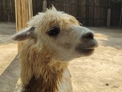 -杭州野生动物世界