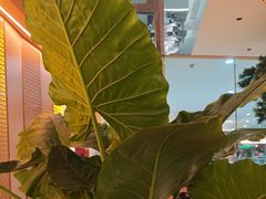 -桂满陇·手作小笼包&江南叫花鸡(中山公园店)