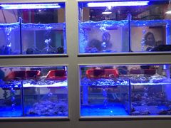 -小龍鳳·港式海鲜打边炉(沙湖路店)
